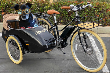 rosa-cyclist-sidecar.png