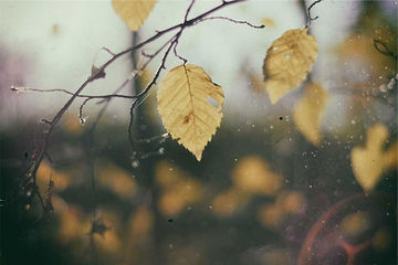 image-6.jpg