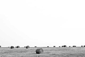 image-4.jpg