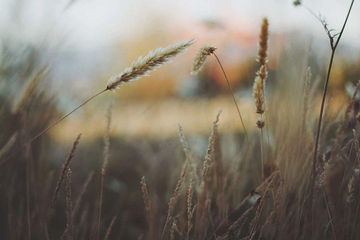 image-9.jpg