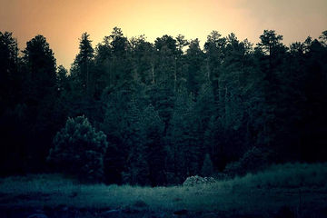 image-11.jpg