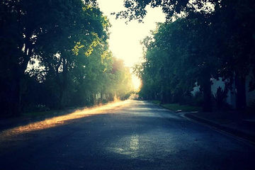 image-12.jpg